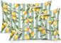 Yellow Lemon Pillow Cases Standard Size Set of 2, Spring Botanical Floral Leaves Aqua Stripes Satin Pillowcase with Zipper for Hair/Skin, Decorative Pillow Covers for Bed/Couch/Sofa, 20x26 Inches