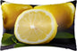 Satin Pillowcase for Hair and Skin Silk Pillow Cases Queen Size Satin Pillow Cover 20x30 Inches Yellow Lemon Pillowcases with Zipper Cooling Pillow Cases Gifts for Women Men
